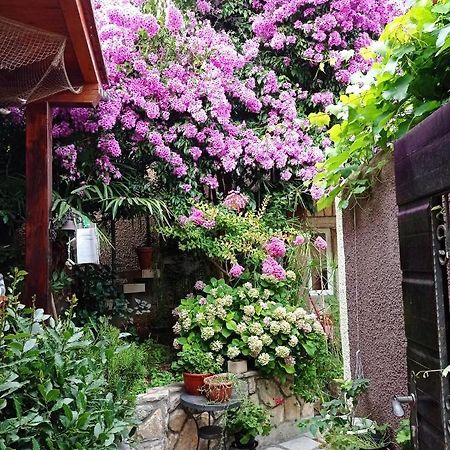 Apartman I Sobe Cule 茨雷斯 外观 照片